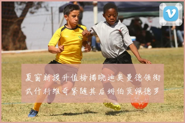 夏窗新援升值榜揭晓迪奥曼德领衔武什科维奇紧随其后姆伯莫佩德罗表现抢眼